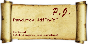 Pandurov Júnó névjegykártya